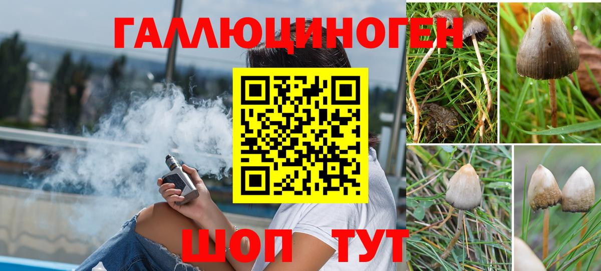 Псилоцибиновые грибы Psilocybine cubensis  Галлюциногенные грибы Cubensis  Людиново  Вход с VPN 